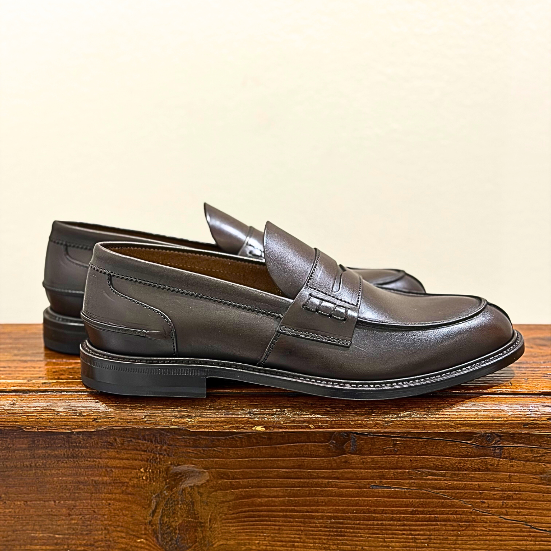 DOUGLAS PENNY TESTA DI MORO - CINQUANTOTTO PESARO | Negozio di abbigliamento