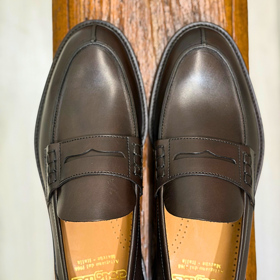 DOUGLAS PENNY TESTA DI MORO - CINQUANTOTTO PESARO | Negozio di abbigliamento